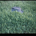 Perry Lowery Photo 15