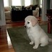 Tucker Sharp Photo 12