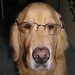 Wayland Clark Photo 6
