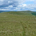 Donald Graham Photo 46