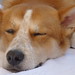 Clyde Friend Photo 10