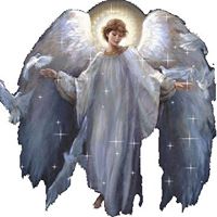 Angel Wilkinson Photo 6