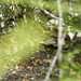 Dennis Hendrickson Photo 13