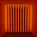 Mike Flavin Photo 36