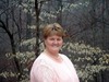 Patricia Bower Photo 39