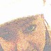 Evelyn Dowd Photo 7