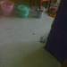 Kay Lang Photo 28