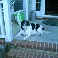 Lisa Strom Photo 23