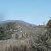 Kimberly Greer Photo 15