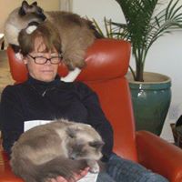 Deborah Pease Photo 11