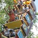 John Satterfield Photo 33