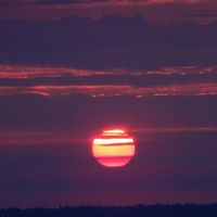 Thomas Siler Photo 29
