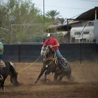 Justin Potts Photo 17