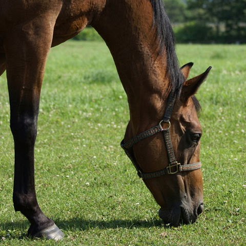 Stephanie Mccullough Photo 21