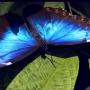 Betty Conner Photo 12