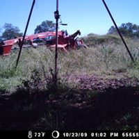Kenneth Land Photo 4