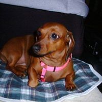 Zella Bowden Photo 2