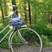 Amy Sears Photo 11