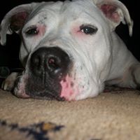 Dawn Kincaid Photo 9