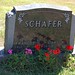 Peter Schafer Photo 12