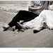 Jason Simms Photo 19