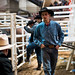 Jamie Swisher Photo 15