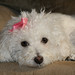 Daphne Ray Photo 11