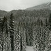 Steven Piatt Photo 8
