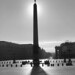Michael Plumer Photo 15
