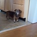 Cassie Kitchen Photo 11