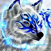 Steven Shannon Photo 38
