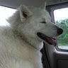 Christine Parks Photo 35