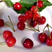 Cherry Goss Photo 2
