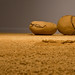Francine Clay Photo 9