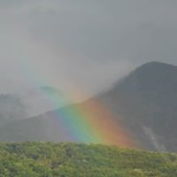 Cathy Durham Photo 38