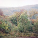 James Ridgeway Photo 43