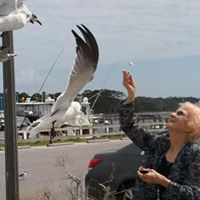 Joyce Lockhart Photo 20
