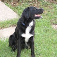 Jasper Harper Photo 5