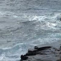 Alfred Martin Photo 12