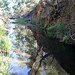 Victoria Morse Photo 19