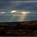 Peggy Ray Photo 29