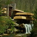 Laurel Wright Photo 36