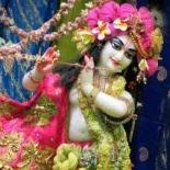 Ricky Agrawal Photo 16