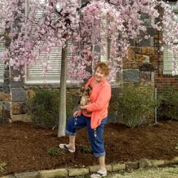 Vicki Wolfe Photo 35
