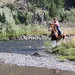 Debby Cross Photo 11