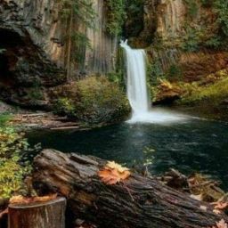 Rex Wilson Photo 27