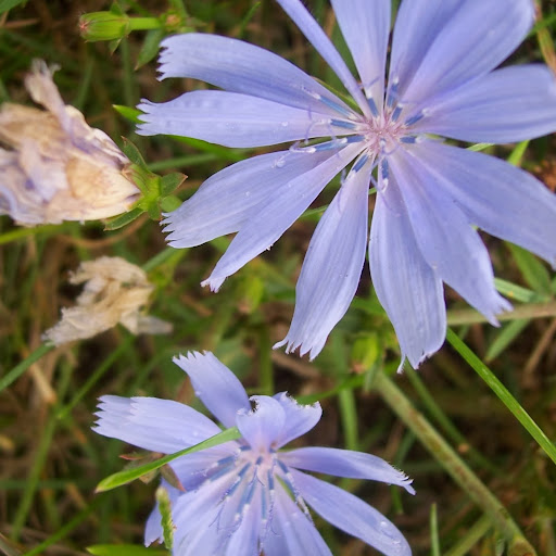 Kathy Laird Photo 19