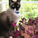 Susan Moorehead Photo 11