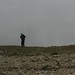 Louis Sasso Photo 11