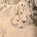 Zhan Liu Photo 22